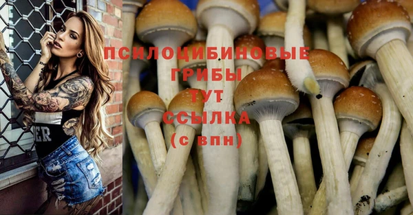 apvp Балабаново